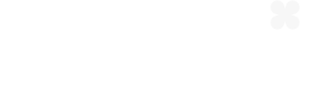 Spino India
